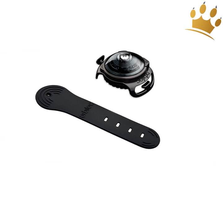 Günstig Orbiloc Leuchtbutton Dog Dual Dark in unserem Hundeshop im Preisvergleich kaufen.
