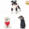 Puppyangel Hundemantel NEW Love Faux Schwarz