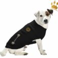 Hundepullover Chester Schwarz