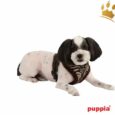Puppia Softgeschirr Modern Zebra Braun