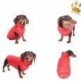 Puppy Angel Dackel Hundemantel Love Faux Hell-Blau