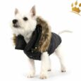 Puppyangel Hundemantel Down Hood Schwarz