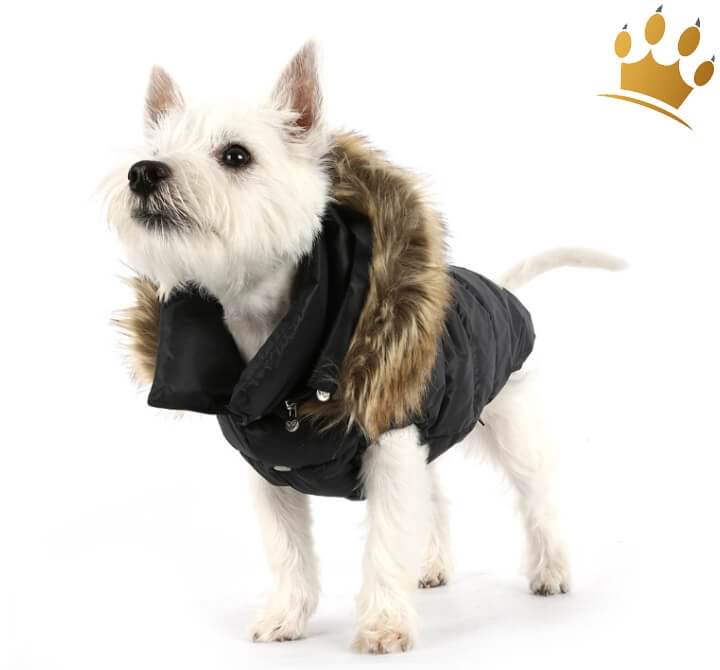 Günstig Puppyangel Hundemantel Down Hood Schwarz in unserem Hundeshop im Preisvergleich kaufen.