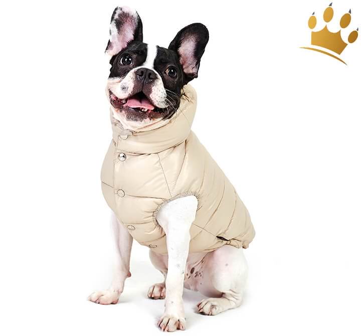 puppyangelvestbeige_1280x1280