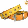 Hundehalsband PuP-PuP TM Orange/Yellow