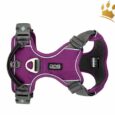 Dog Copenhagen Hundegeschirr V2 Comfort Walk (Pro) Purpel Passion