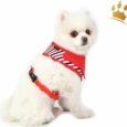 Puppia Softgeschirr Seaman Rot