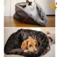 P.L.A.Y. Hunde-Snugglebett Husky