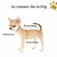 Jack-B Hundegeschirr Lila Dots