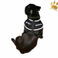 Softbrustgeschirr Black Pearl Pirate