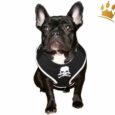 Softbrustgeschirr Black Pearl Pirate