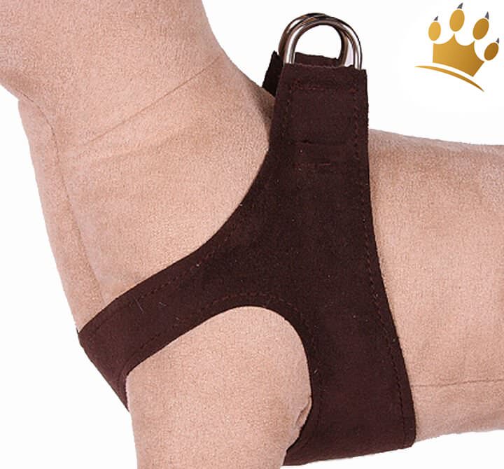 Günstig Step-In Hundegeschirr Plain Schoko in unserem Hundeshop im Preisvergleich kaufen.