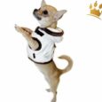 Step-In Hundegeschirr Little Darling Crema
