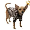 Hundesweater Soft Zebra