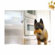 P.L.A.Y.  Hundespielzeug Croissant