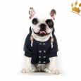 Milk & Pepper Hundesweater Rookie