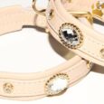 Hundehalsband Elfenbein Clear Thunder Petit
