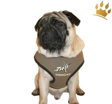 Günstig Softbrustgeschirr TOM CAT in unserem Hundeshop im Preisvergleich kaufen.