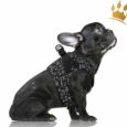 Milk & Pepper Step In Travis Hundegeschirr Black