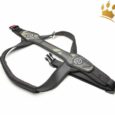 Tre Ponti Hundegeschirr Primo For Big Dogs Schwarz