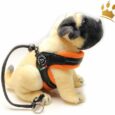 Tre Ponti Hundegeschirr Soft Mesh Strap Orange