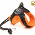 Tre Ponti Hundegeschirr Soft Mesh Strap Orange