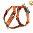 Dog Copenhagen Hundegeschirr V2 Walk Air Orange Sun