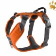 Dog Copenhagen Hundegeschirr V2 Comfort Walk (Pro) Orange Sun
