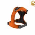Dog Copenhagen Hundegeschirr V2 Comfort Walk (Pro) Orange Sun