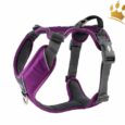 Dog Copenhagen Hundegeschirr V2 Comfort Walk (Pro) Purpel Passion