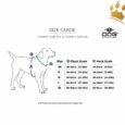 Dog Copenhagen Hundegeschirr V2 Walk Air Orange Sun