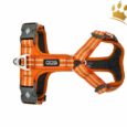Dog Copenhagen Hundegeschirr V2 Walk Air Orange Sun