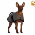 WarmUp Cape Wind & Rain Mini Oliv