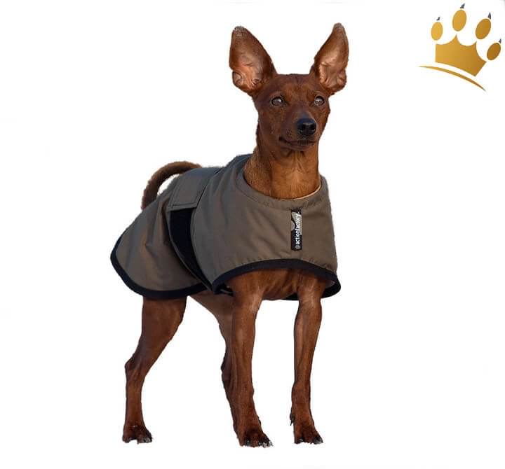 Günstig WarmUp Cape Wind & Rain Mini Oliv in unserem Hundeshop im Preisvergleich kaufen.