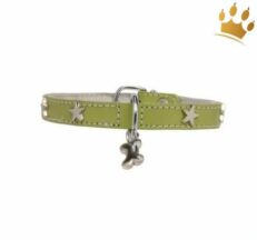welpenhalsband pistatie 1280x1280