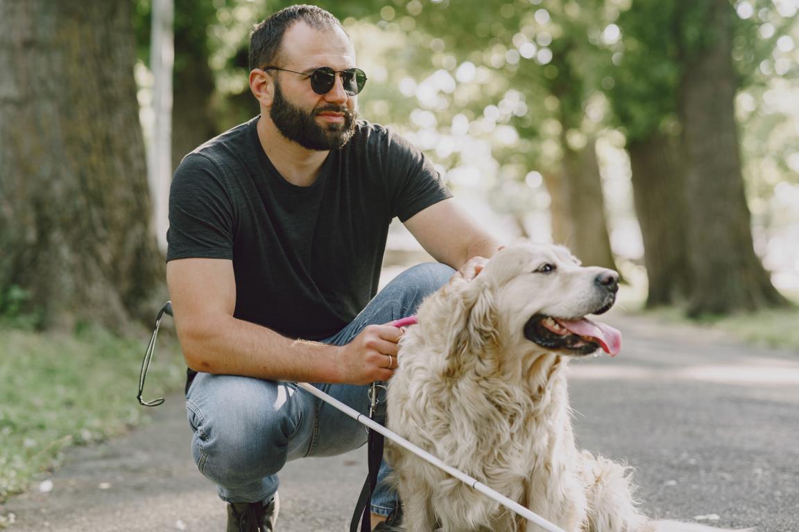 Der Einsatz von Blindenhunden: Wie sie sehbehinderten Menschen ein selbstständiges Leben ermöglichen