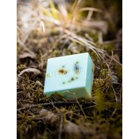 unnamed file 23