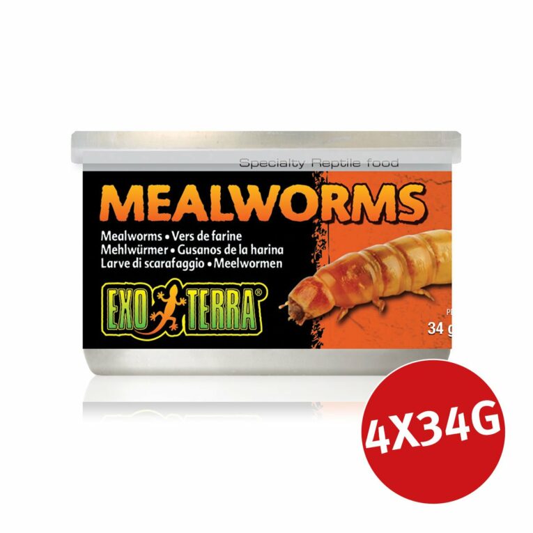 Günstig Exo Terra Reptilienfutter Mehlwürmer 4x34g i mPreisvergleich in unserem Onlineshop auf Hundeliebe-shop.de kaufen.
