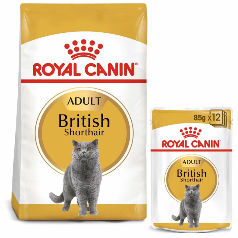 Günstig ROYAL CANIN ADULT British Shorthair 2kg + Nassfutter in Soße 12x85g i mPreisvergleich in unserem Onlineshop auf Hundeliebe-shop.de kaufen.