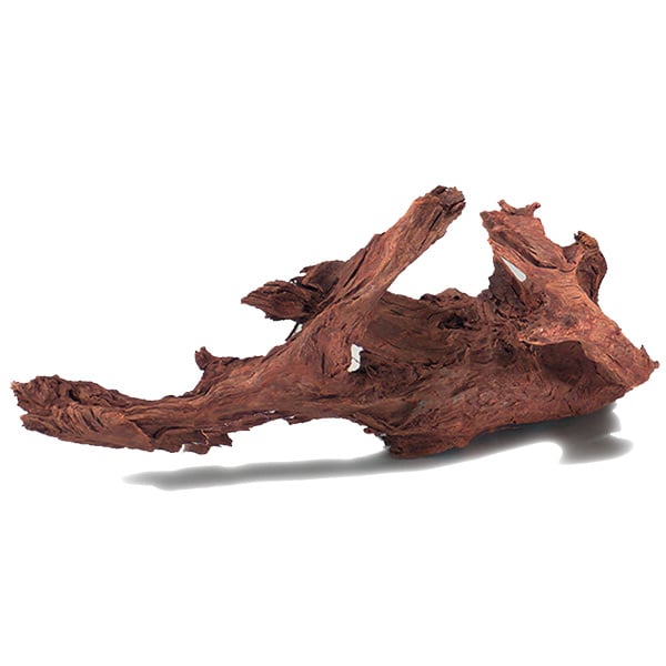 Günstig Aquarium Dekoration Jati Wurzel i mPreisvergleich in unserem Onlineshop auf Hundeliebe-shop.de kaufen.