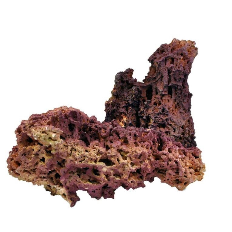 Günstig Aquarium Münster Aquadecor Jurassic Reef-Rock M i mPreisvergleich in unserem Onlineshop auf Hundeliebe-shop.de kaufen.