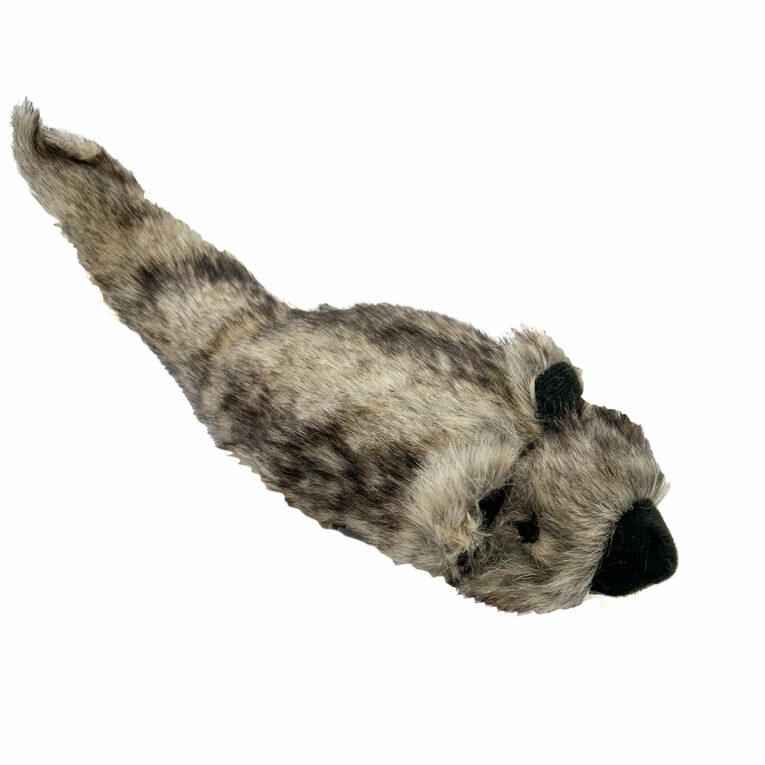Günstig Aumüller Katzenspielkissen Zappel – Frettchen Speedy i mPreisvergleich in unserem Onlineshop auf Hundeliebe-shop.de kaufen.