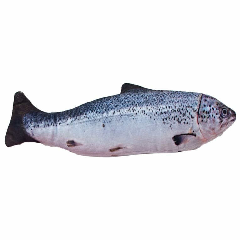 Günstig Aumüller Spielzeug Forelle mit Katzenminze u. Silvervine i mPreisvergleich in unserem Onlineshop auf Hundeliebe-shop.de kaufen.