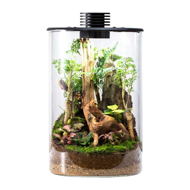 Günstig Bioloark Bio Bottle ZD 200 i mPreisvergleich in unserem Onlineshop auf Hundeliebe-shop.de kaufen.