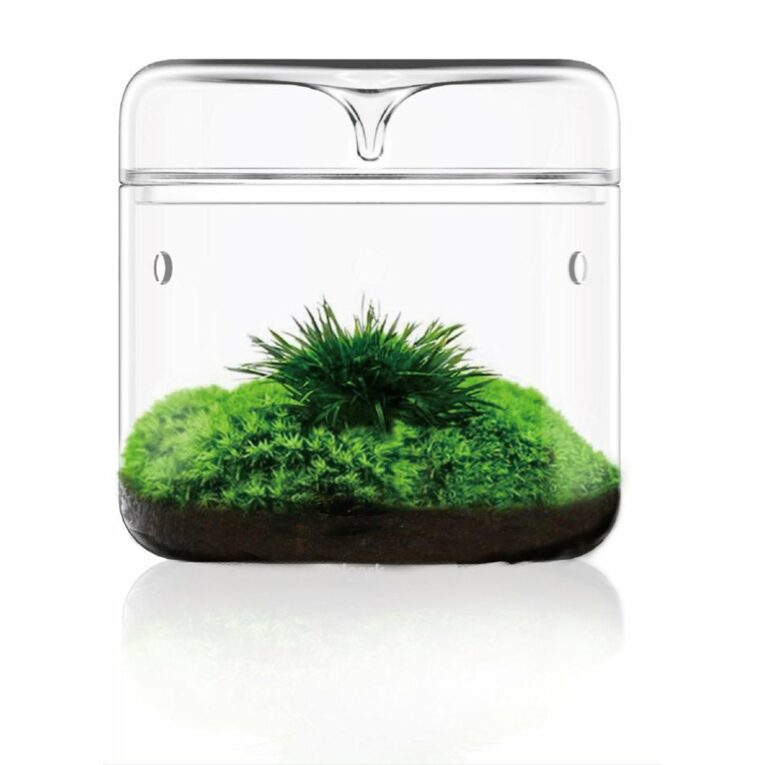 Günstig Bioloark Luji Glass Cup MY-120 i mPreisvergleich in unserem Onlineshop auf Hundeliebe-shop.de kaufen.