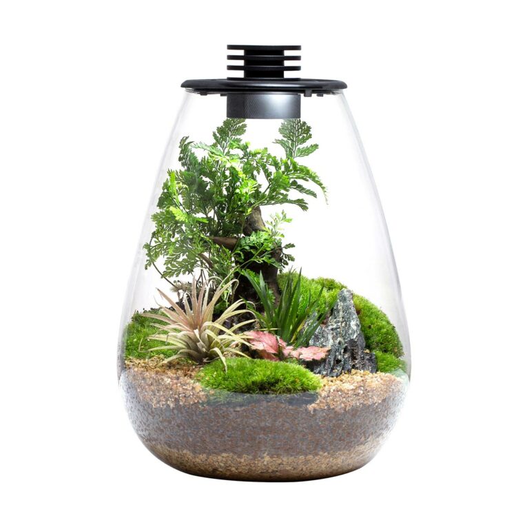 Günstig Bioloark Bio Bottle SD 200 i mPreisvergleich in unserem Onlineshop auf Hundeliebe-shop.de kaufen.