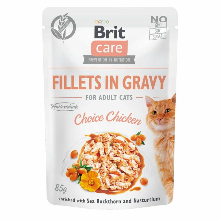 Günstig Brit Care Cat Fillets in Gravy Choice Chicken 6x85g i mPreisvergleich in unserem Onlineshop auf Hundeliebe-shop.de kaufen.