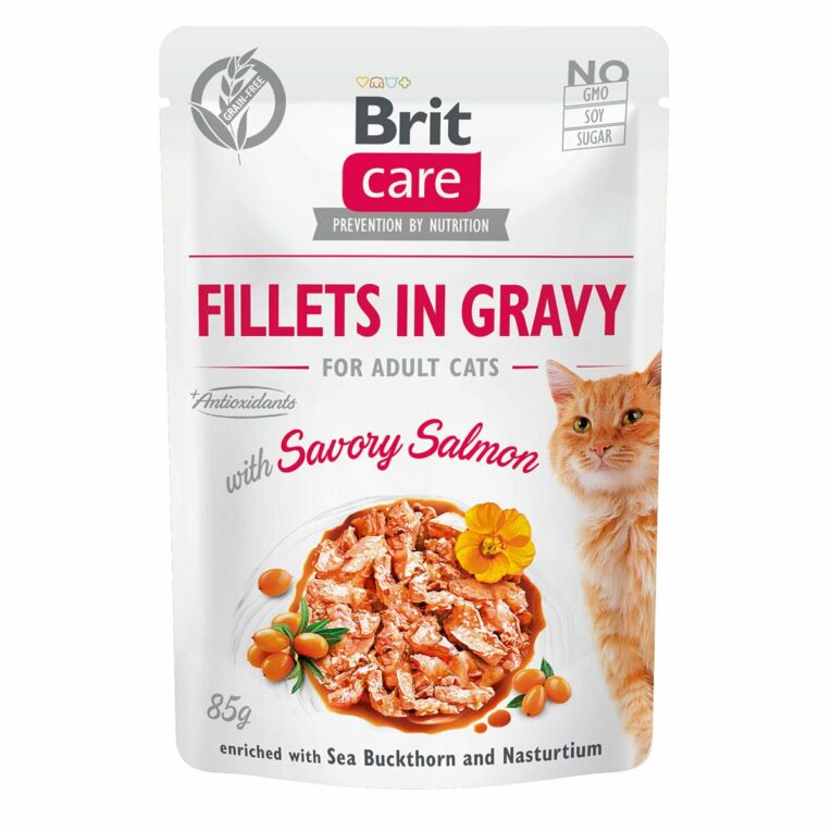 Günstig Brit Care Cat Fillets in Gravy with Savory Salmon 6x85g i mPreisvergleich in unserem Onlineshop auf Hundeliebe-shop.de kaufen.