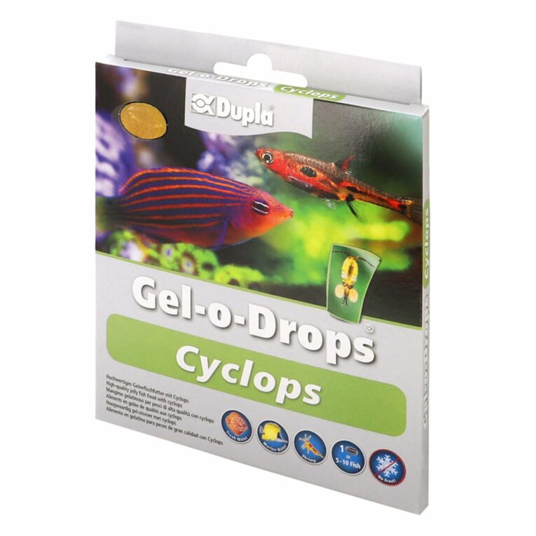 Günstig Dupla Gel-o-Drops Cyclops 12×2 g i mPreisvergleich in unserem Onlineshop auf Hundeliebe-shop.de kaufen.