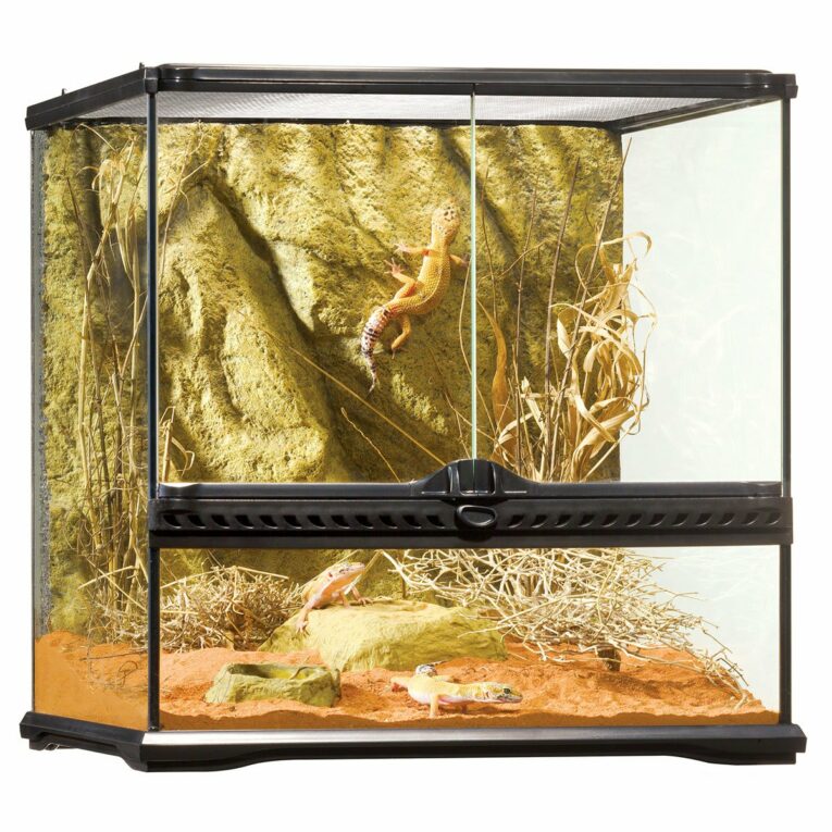Günstig Exo Terra Glasterrarium 45x45x45 cm i mPreisvergleich in unserem Onlineshop auf Hundeliebe-shop.de kaufen.
